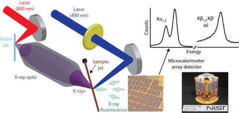 X-Ray Spectrometer