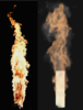 Burning dynamics of a surrogate vegetative fuel